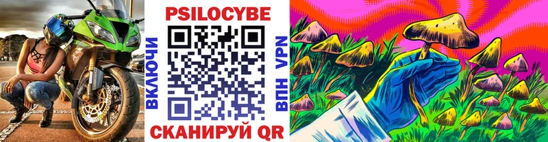 Галлюциногенные грибы Psilocybine cubensis  Купить где  Донецк 